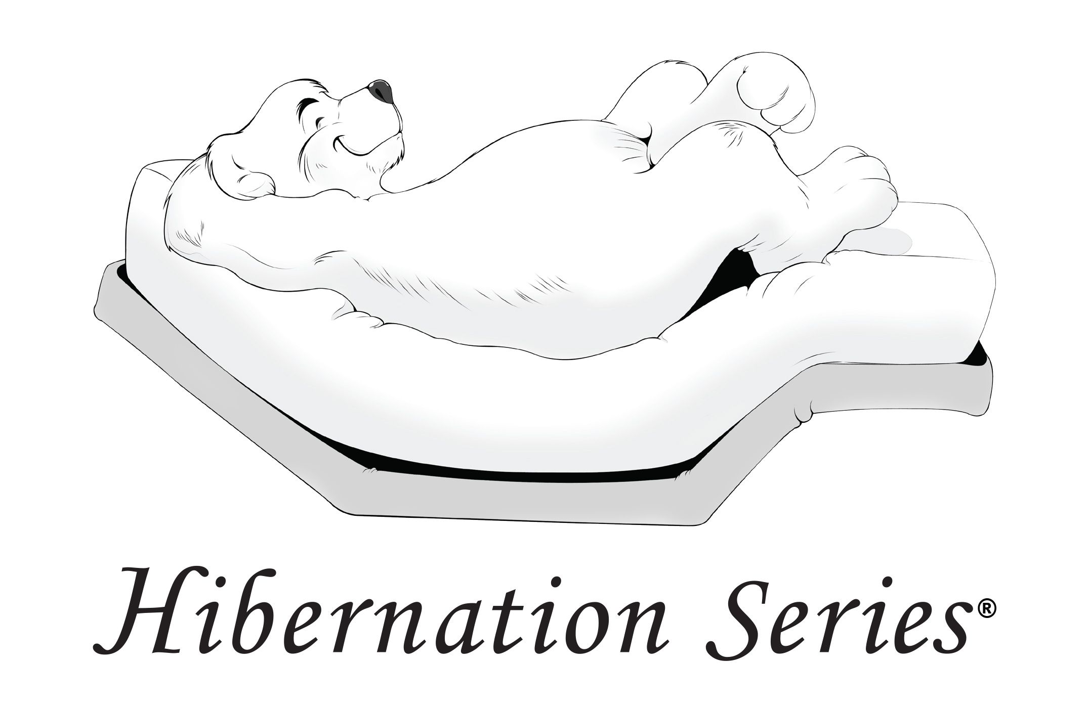 hibernation logo