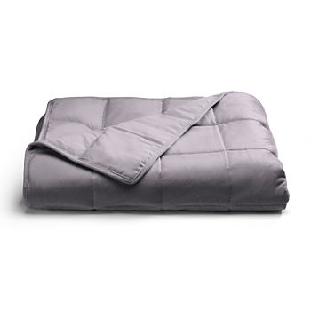 Sealy Weighted Plush Blanket