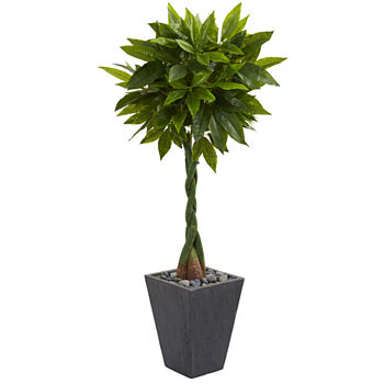 5’ Money Artificial Tree in Slate Planter (RealTouch)