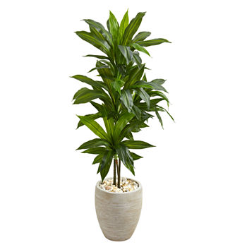 4’ Dracaena Artificial Plant in Sand Colored Planter (Real Touch)