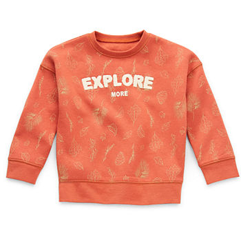 Okie Dokie Toddler Boys Round Neck Long Sleeve Pullover Sweater