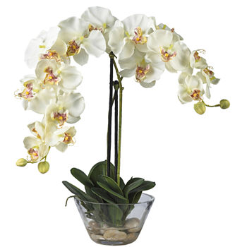 Nearly Natural Phalaenopsis With Glass Vase Silk Flower Arrangement