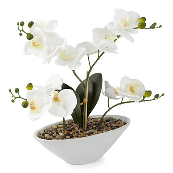 Liz Claiborne Liz Claiborne Orchid Centerpiece Floral Arrangement