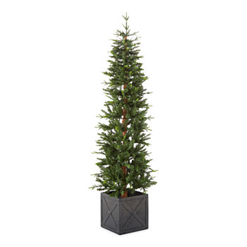 North Pole Trading Co. 7' Potted Burlington Fir Pre-Lit Christmas Tree