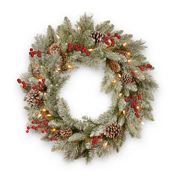 National Tree Co. Snowy Bristle Wreath