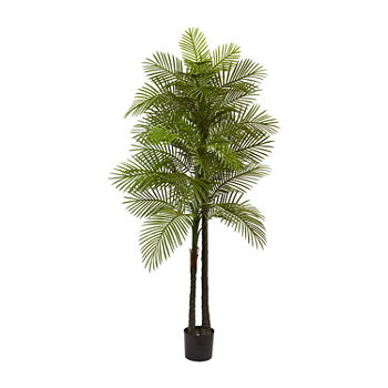 Nearly Natural 7 Double Robellini Palm Tree