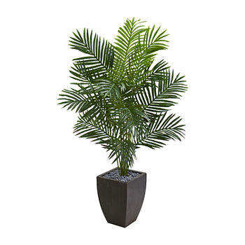 Nearly Natural 5.5 Paradise Artificial Palm Tree In Black Planter