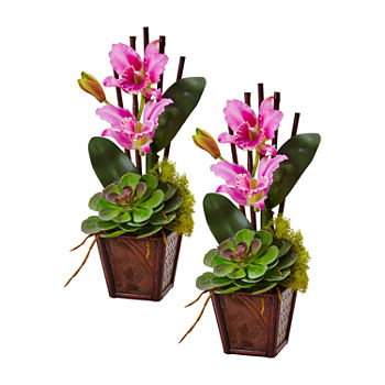 Nearly Natural Purple Cattleya Orchid And Succulent Arrangement (Set Of 2) Artificial Flowers
