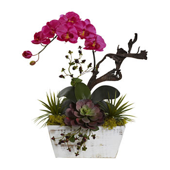 Nearly Natural Green Orchid & Succulent Garden With White Wash Planter Artificial Flowers