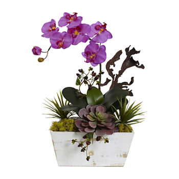 Nearly Natural Orchid & Succulent Garden With White Wash Planter Artificial Flowers
