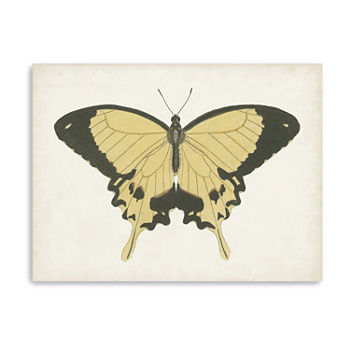 Beautiful Butterfly I Giclee Canvas Art