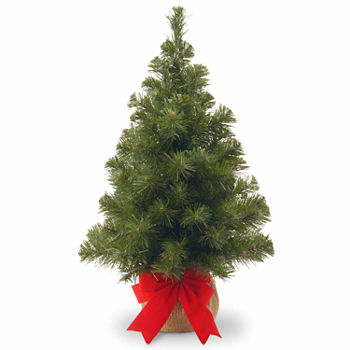 National Tree Co. 2 Foot Noble Spruce Spruce Flocked Christmas Tree