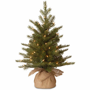 National Tree Co. 2 Foot Nordic Spruce Spruce Pre-Lit Flocked Christmas Tree