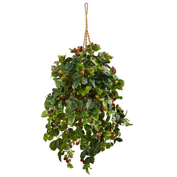 Raspberry Plant Silk Hanging Basket