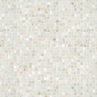 Belle Coquile 1cm grid mosaic