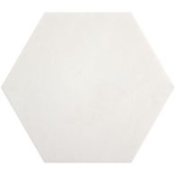 10" x 10" hexagon in honed finish