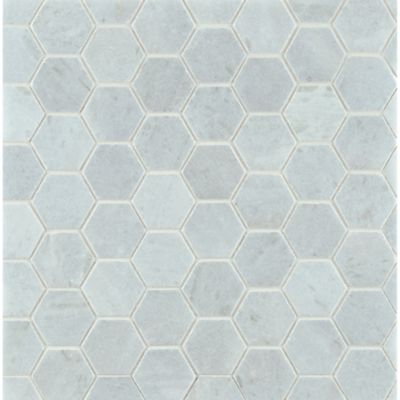2" hexagon mosaic in honed finish