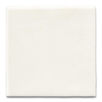 Canyon Lake by Studio McGee Field Tile ANN SACKS Tile & Stone