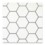 Savoy Classic 4" Hex with Grey Matter grout