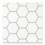 Savoy Classic 4" Hex with Moonbeam grout