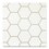  Savoy Classic 4" Hex with Tip Taupe grout