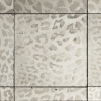 10" x 10" leopard field in argent