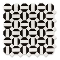 Itzer mosaic in white carrare and black kôhl