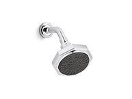Multifunction Showerhead with Arm