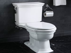 Colored Wood Toilet Seat, Elongated, with Chrome Trim