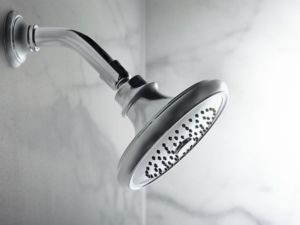 Traditional Showerhead with Arm