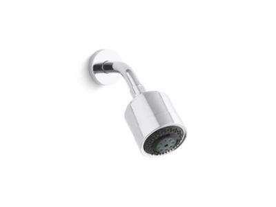 Showerhead with Arm