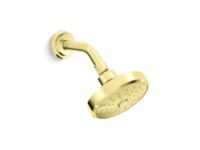 Transitional Showerhead with Arm 0