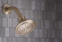 Showerhead with Arm 1