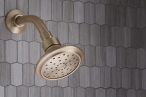 Showerhead with Arm