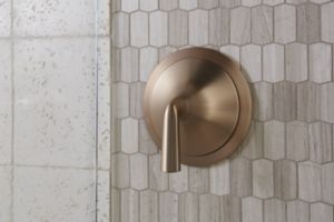 Thermostatic Trim, Lever Handle