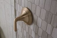 Volume Control Trim, Lever Handle 1