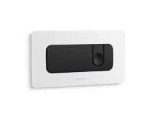 Foundations Dual Flush Wall-Mount Toilet Actuator