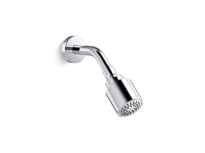 Showerhead with Arm