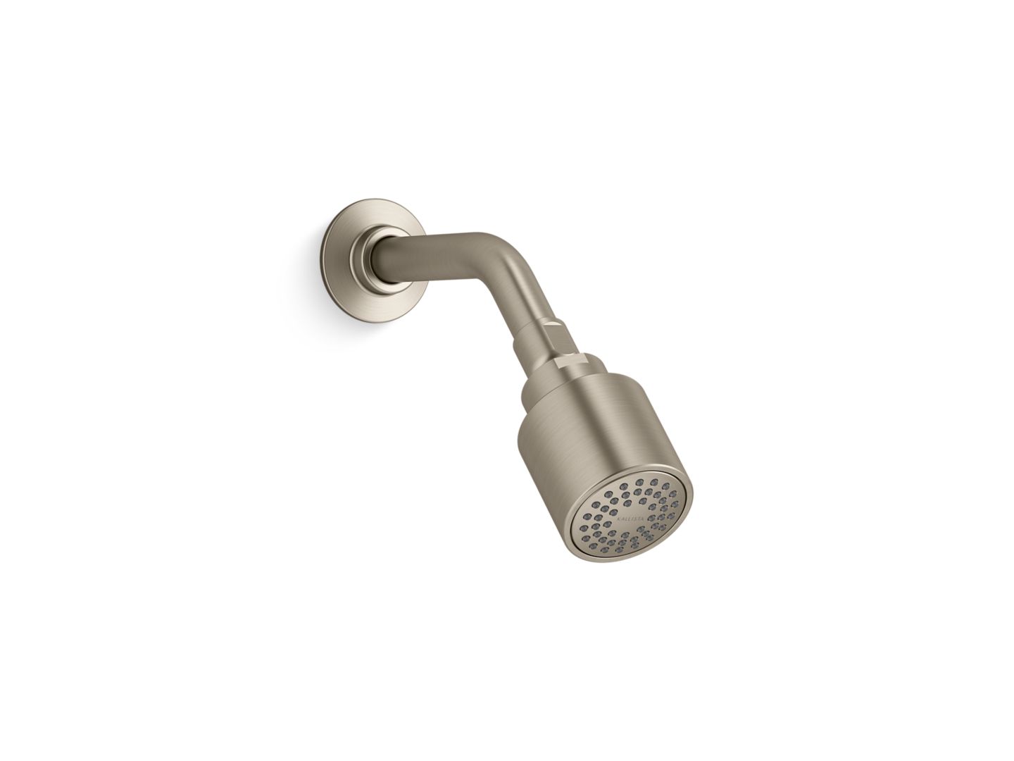 Central Park West Showerhead with Arm