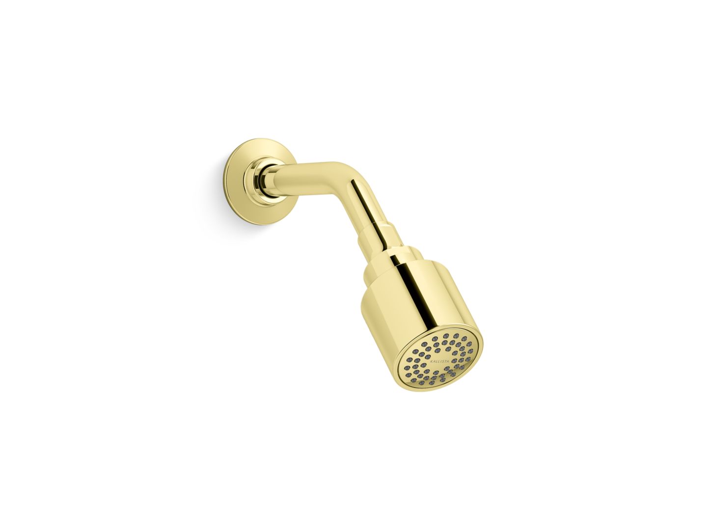 Central Park West® Showerhead with Arm