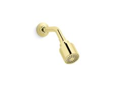 Central Park West® Showerhead with Arm