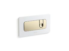 Foundations Dual Flush Wall-Mount Toilet Actuator
