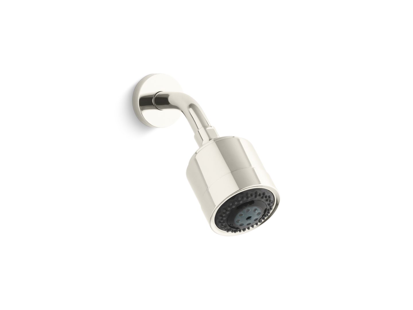 Contemporary Multifunction Showerhead with Arm