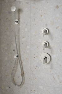 Transitional Handshower with Hose 1