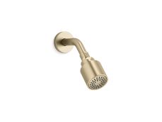 One™ Showerhead with Arm