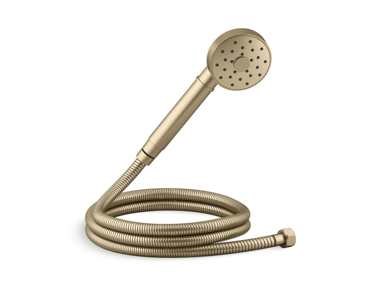 Transitional Handshower with Hose