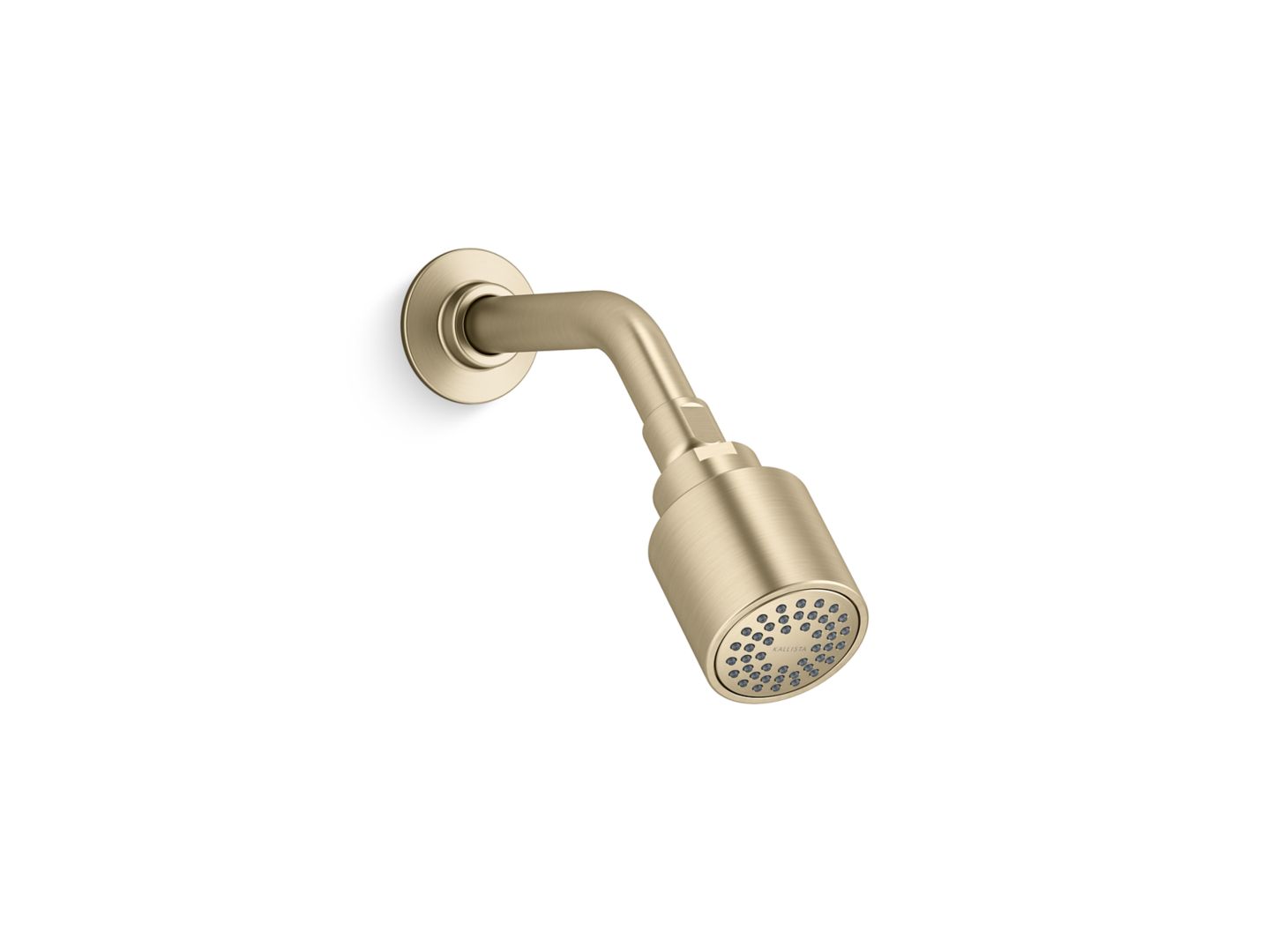 Central Park West Showerhead with Arm