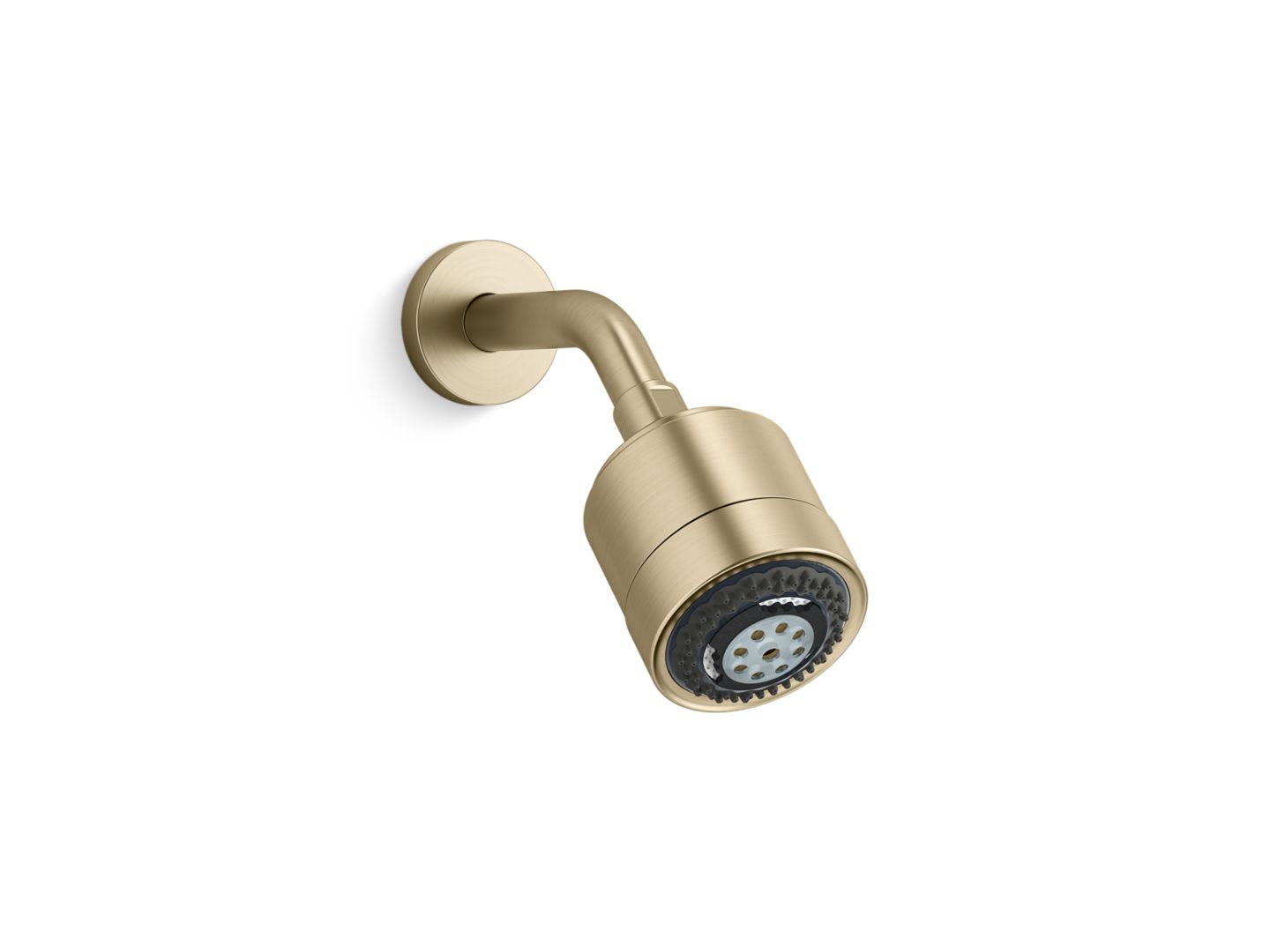 Contemporary Multifunction Showerhead with Arm