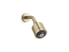 Showerhead with Arm