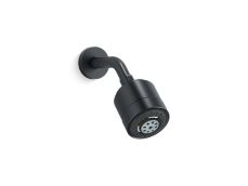 Showerhead with Arm